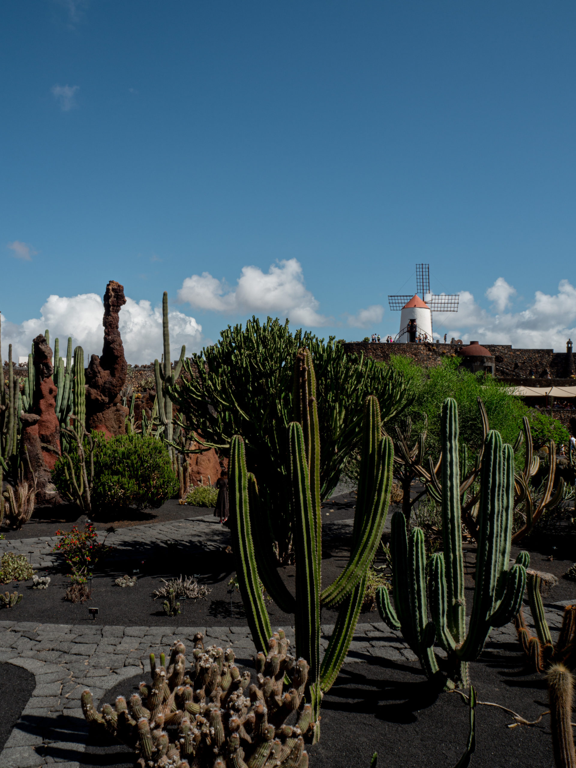 Jardin de cactus Lanzarote